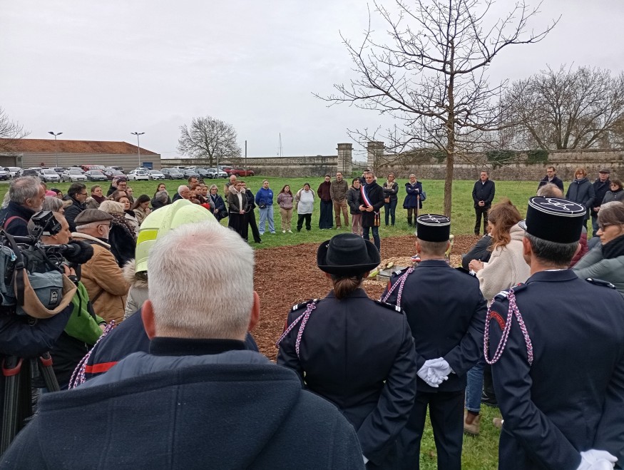Image de l'actu de Demoiselle FM