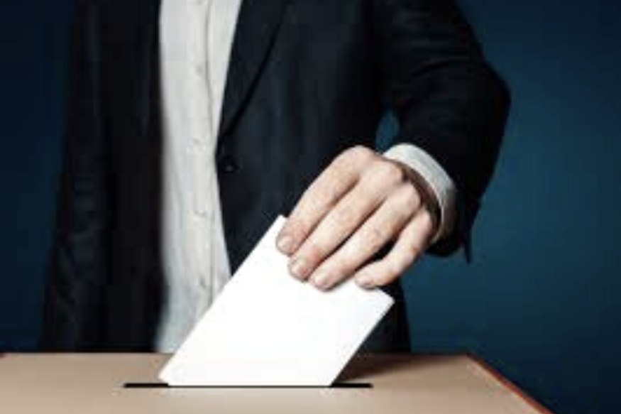 Image de l'actu de Demoiselle FM