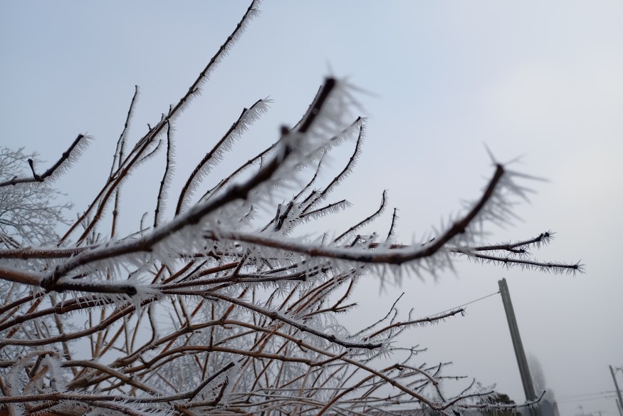 Vigilance météo orange : la neige attendue en Charente-Maritime